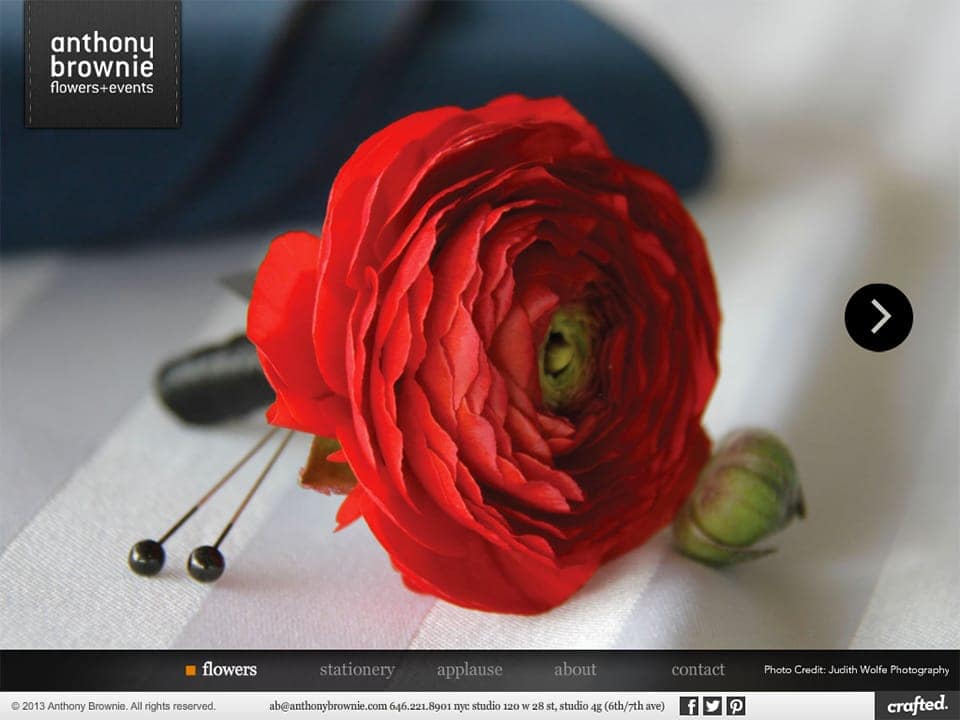 anthony-brownie-anthony-brownie-