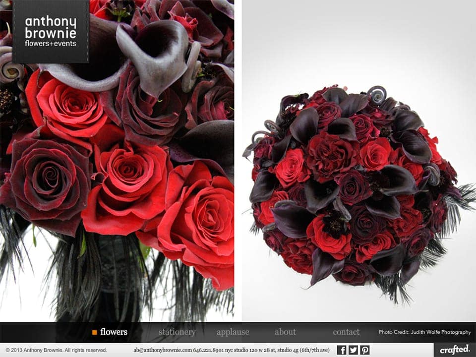 anthony-brownie-anthony-brownie-