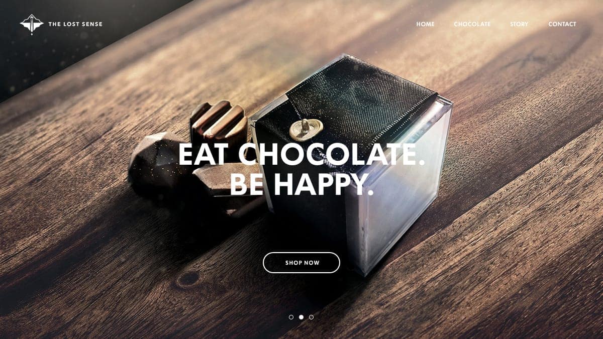 the-lost-sense-the-lost-sense-