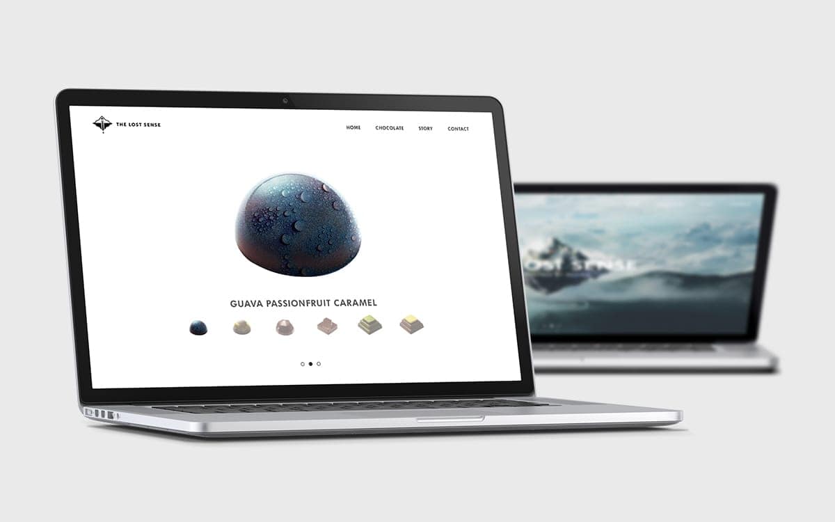 the-lost-sense-the-lost-sense-