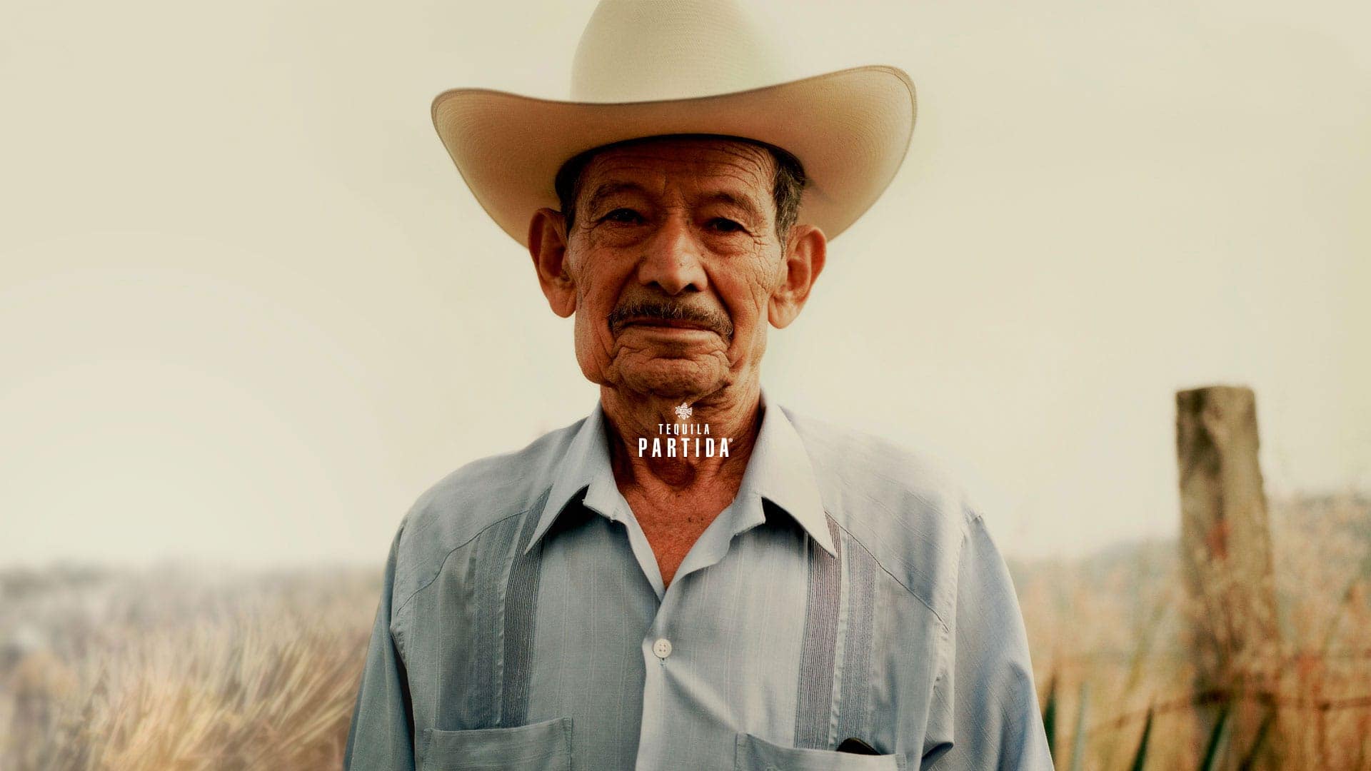 digital-marketing-website-design-development-partida-fma