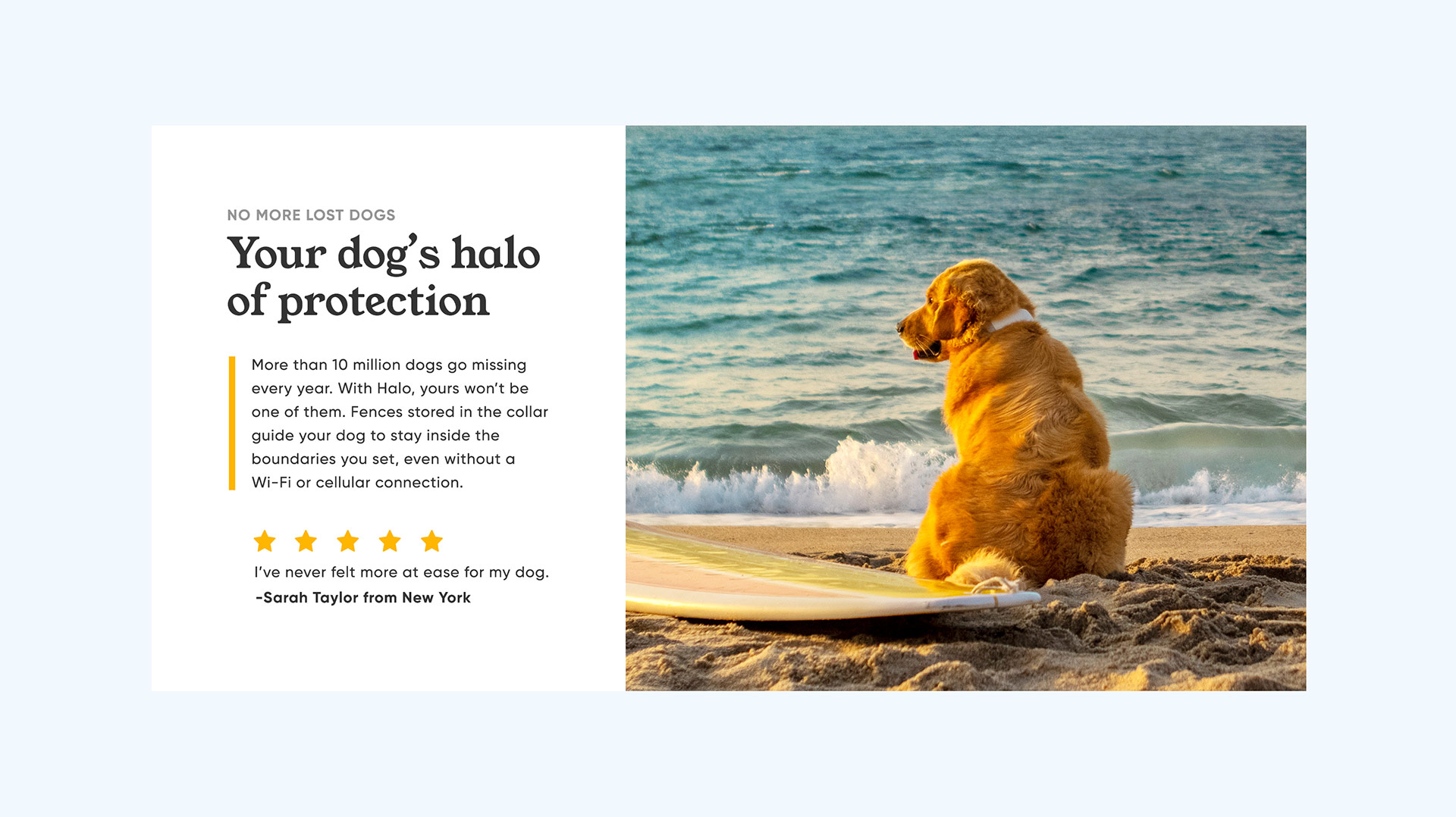 halo-by-cesar-millan-halo-by-cesar-millan-