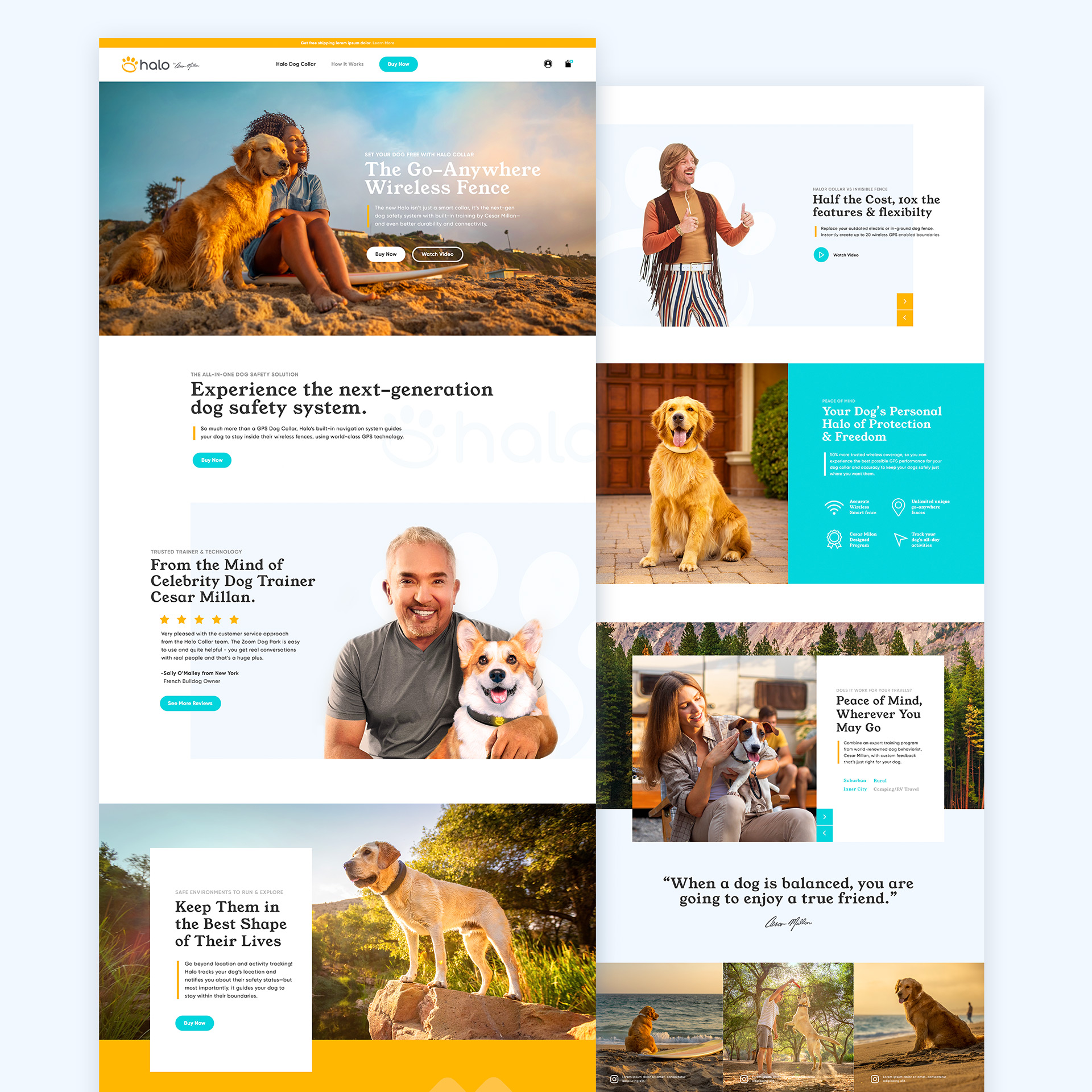 halo-by-cesar-millan-halo-by-cesar-millan-